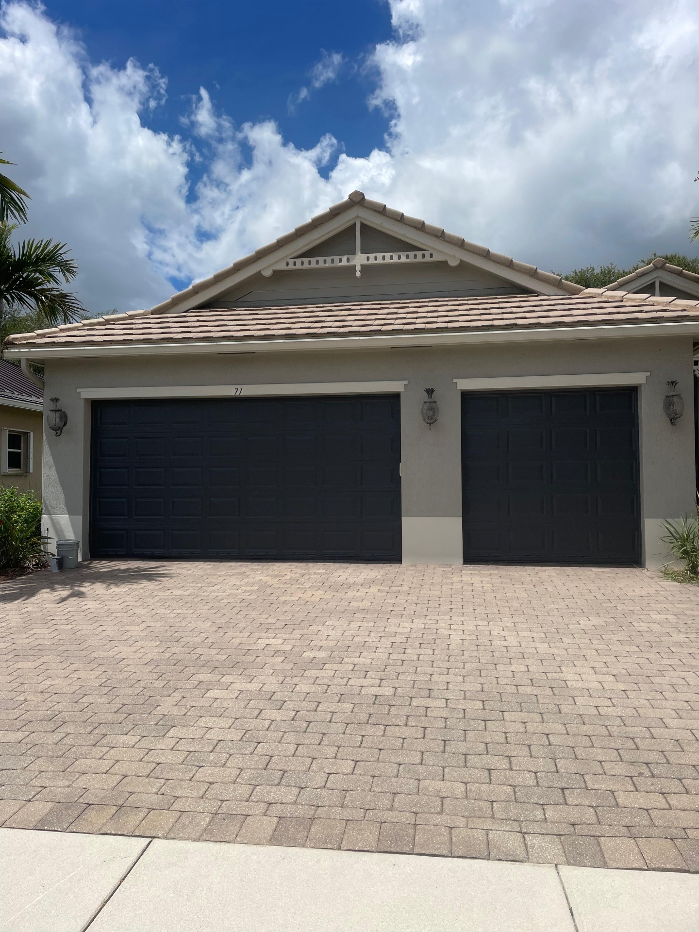 Professional painting project 1