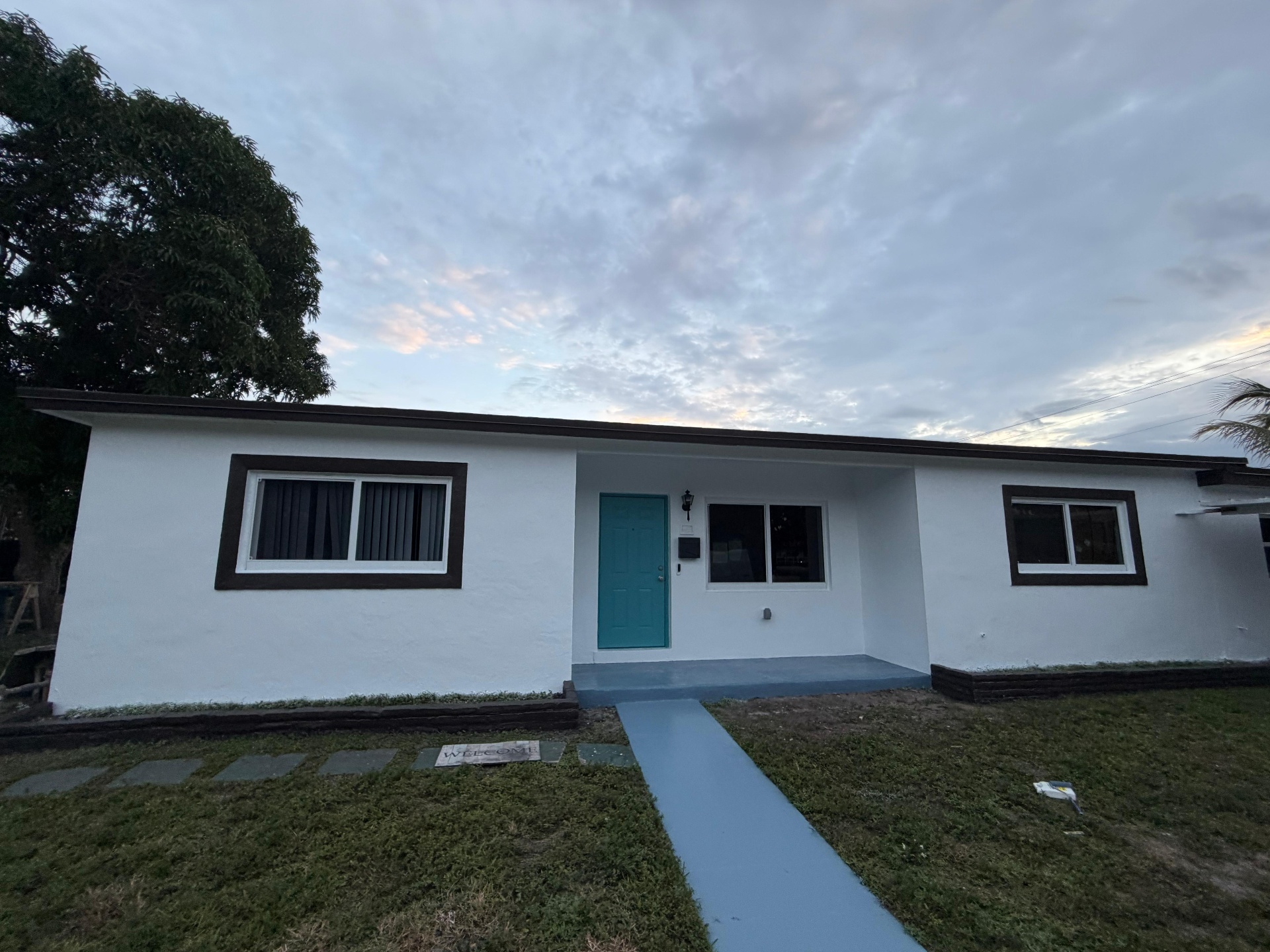 Professional painting project 5