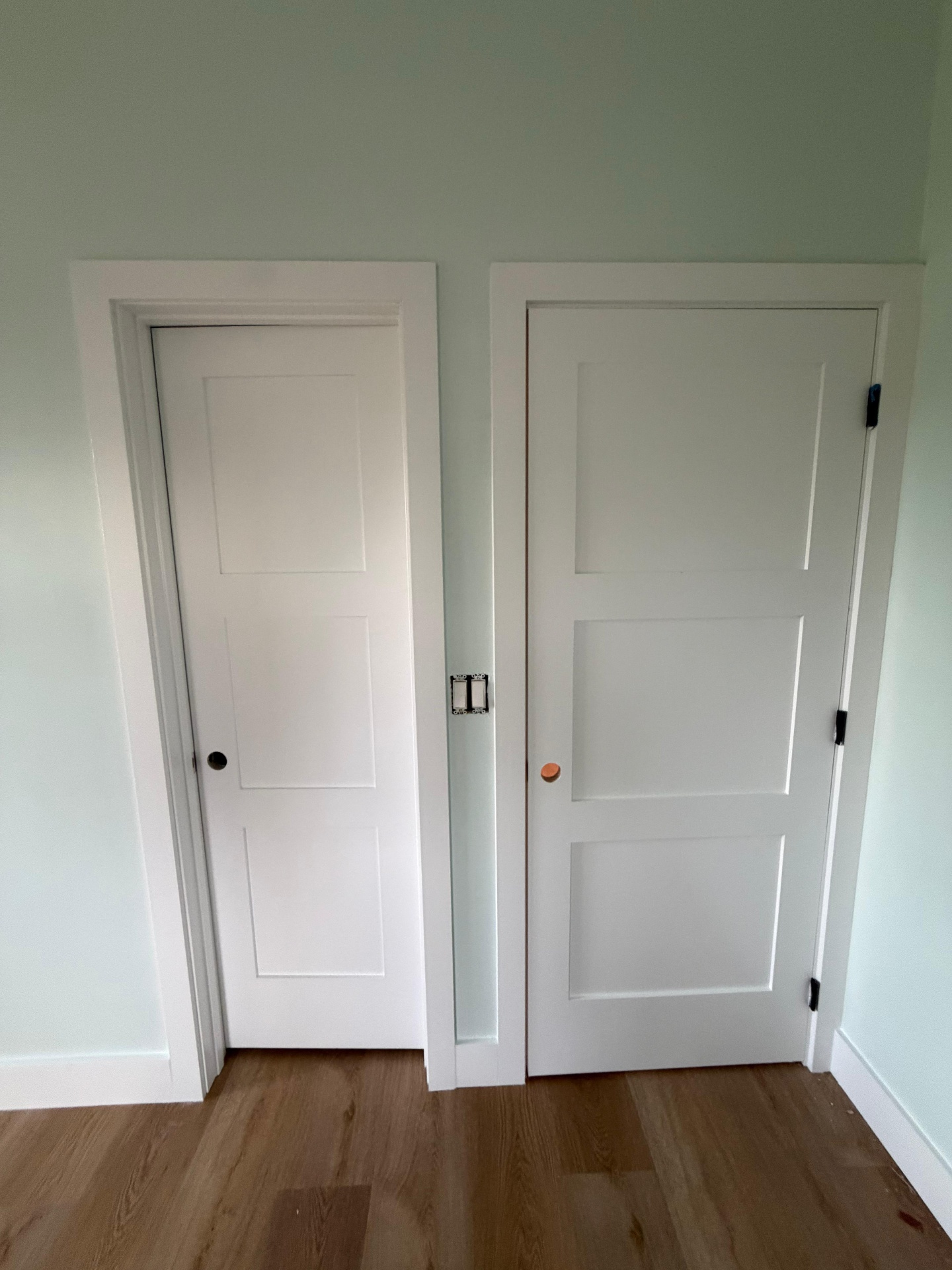 Professional painting project 6